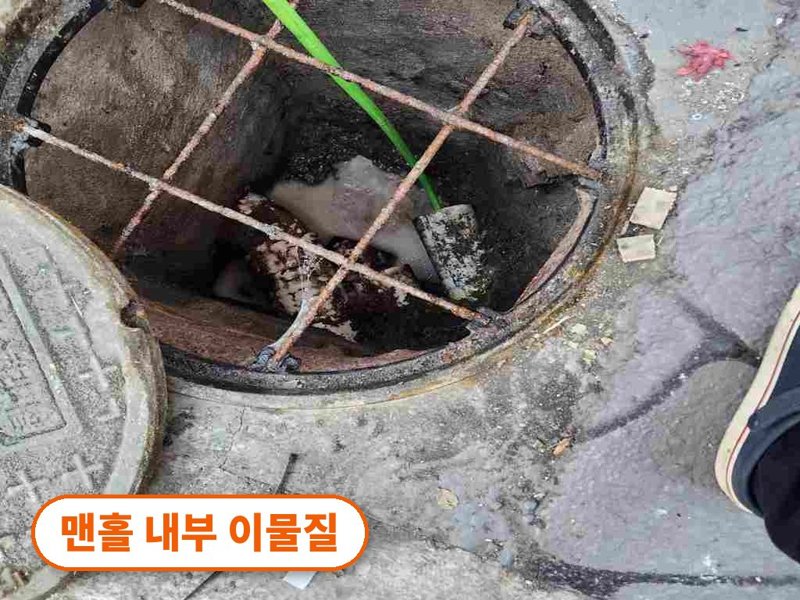 안성 1층 화장실로 물이 올라올 때 확인할 것